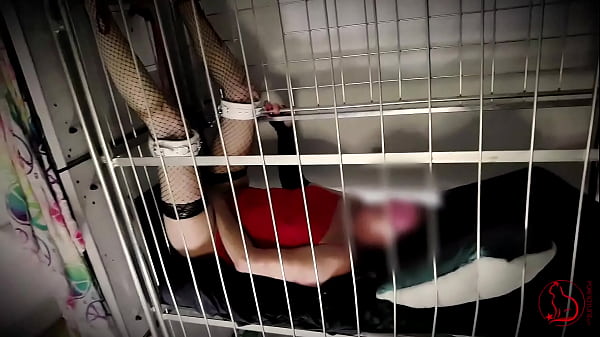 Novinha capturada em fazenda de cruza, usada por desconhecidos para inseminação